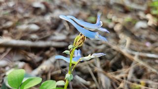 문해님의 자유주제 · 자유게시판 작성글 사진