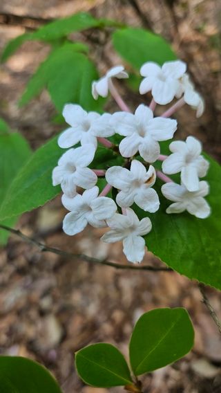문해님의 자유주제 · 자유게시판 작성글 사진