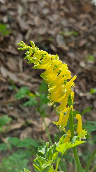 문해님의 자유주제 · 자유게시판 작성글 사진