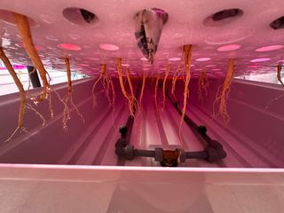 윤대권님의 상추 · 영농일지 작성글 사진