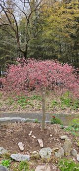 팜모닝 자유주제·자유게시판 게시글 이미지