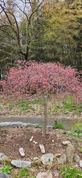 김둘점님의 자유주제 · 자유게시판 작성글 사진