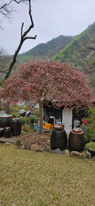 김둘점님의 자유주제 · 자유게시판 작성글 사진