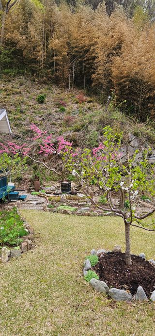 김둘점님의 자유주제 · 자유게시판 작성글 사진