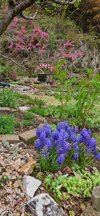 김둘점님의 자유주제 · 자유게시판 작성글 사진