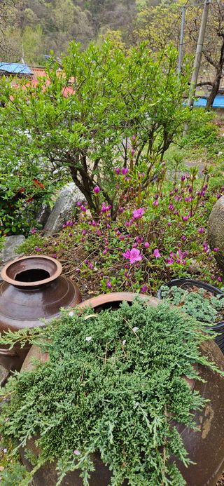 김둘점님의 자유주제 · 자유게시판 작성글 사진