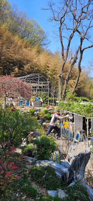 김둘점님의 자유주제 · 자유게시판 작성글 사진