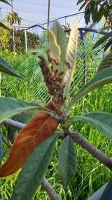 팜모닝 자유주제·사진전 게시글 이미지