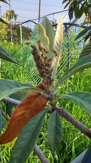 김상철님의 자유주제 · 사진전 작성글 사진