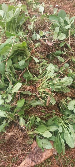 장만월님의 자유주제 · 자유게시판 작성글 사진