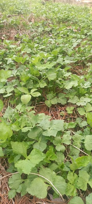 장만월님의 자유주제 · 자유게시판 작성글 사진