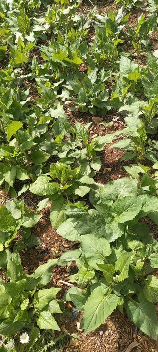 장만월님의 자유주제 · 자유게시판 작성글 사진