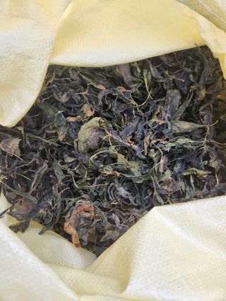 장지영님의 작성글 사진