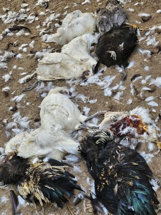 호박17099님의 자유주제 · 자유게시판 작성글 사진