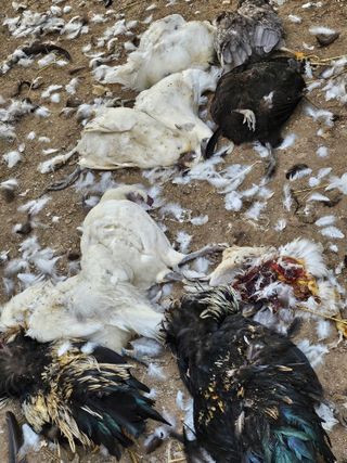 호박17099님의 자유주제 · 자유게시판 작성글 사진