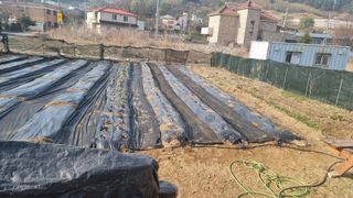 국흥호님의 최근에 산 것 자랑하기·참여글 작성글 사진