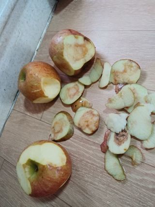 호박4616님의 최근에 산 것 자랑하기 · 참여글 작성글 사진