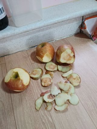 호박4616님의 최근에 산 것 자랑하기 · 참여글 작성글 사진