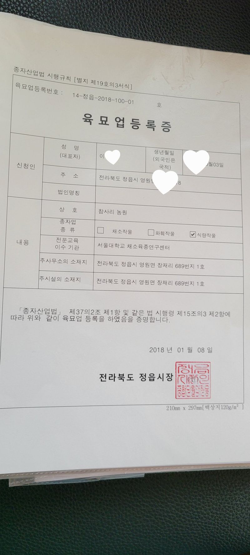 이동훈님의 장터 판매 상품 [고구마종순] 첨부 사진