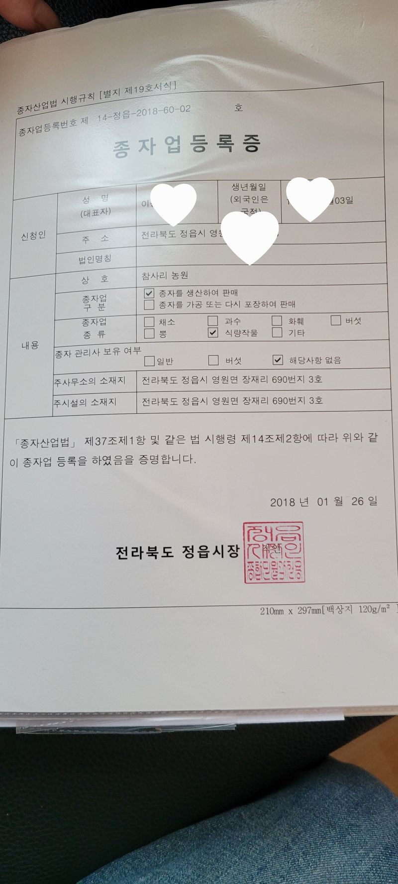 이동훈님의 장터 판매 상품 [고구마종순] 첨부 사진