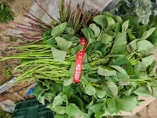 이동훈님의 작성글 사진