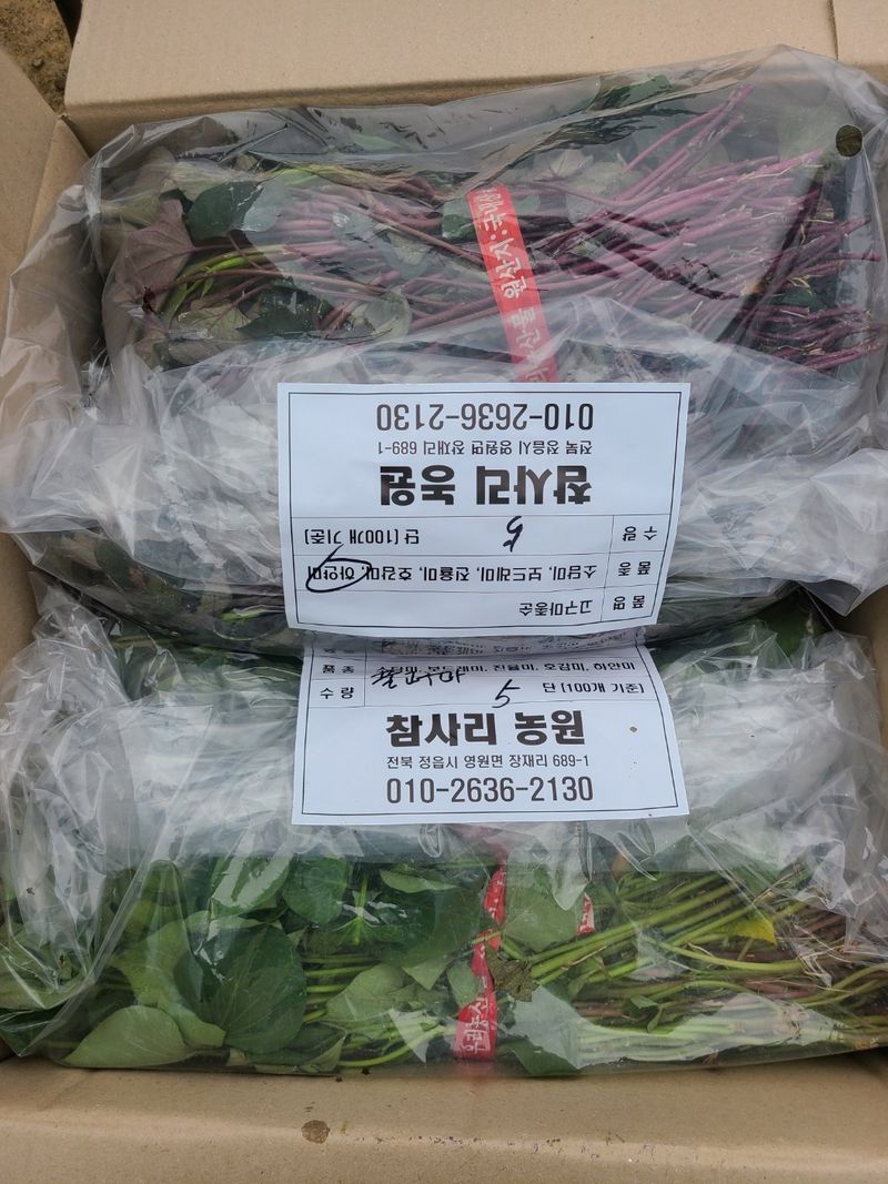 이동훈님의 장터 판매 상품 [고구마종순] 첨부 사진