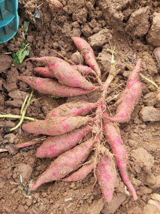 이동훈님의 작성글 사진