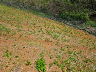 찬우맘님의 기타작물 · 자유게시판 작성글 사진