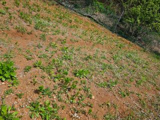 찬우맘님의 기타작물 · 자유게시판 작성글 사진