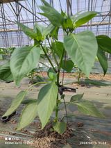 팜모닝 자유주제·사진전 게시글 이미지