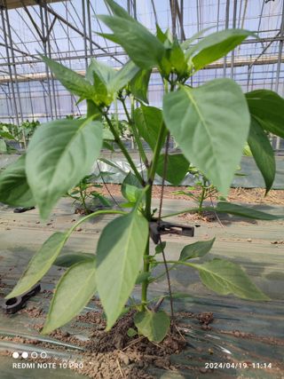 김영인님의 자유주제 · 사진전 작성글 사진