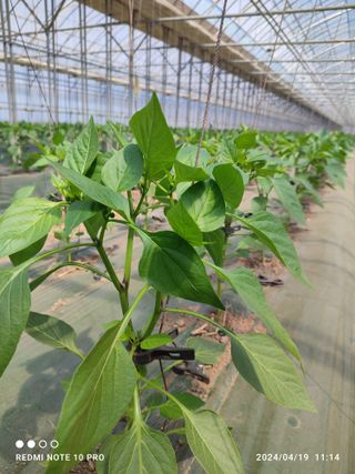 김영인님의 자유주제 · 사진전 작성글 사진