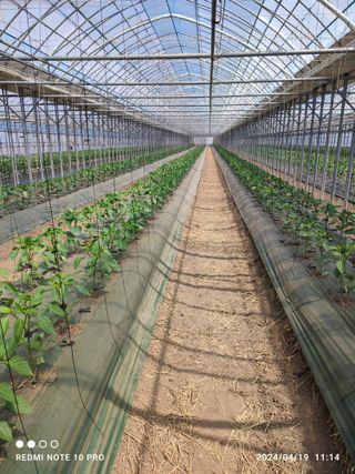 김영인님의 자유주제 · 사진전 작성글 사진