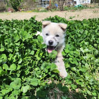 박경분님의 자유주제 · 사진전 작성글 사진