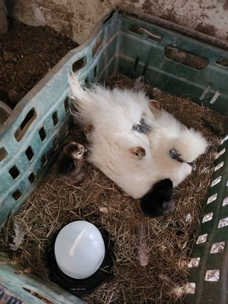 박경분님의 자유주제 · 사진전 작성글 사진