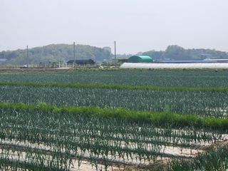 대추 9544님의 자유주제 · 자유게시판 작성글 사진