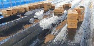 토마토아부지왕궁면님의 최근에 산 것 자랑하기 · 참여글 작성글 사진