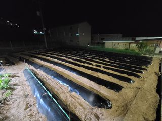 성훈경님의 고구마 · 영농일지 작성글 사진