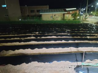 성훈경님의 고구마 · 영농일지 작성글 사진