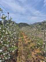 팜모닝 자유주제·자유게시판 게시글 이미지