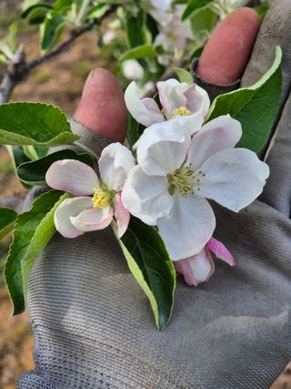 사과와곶감님의 자유주제 · 자유게시판 작성글 사진
