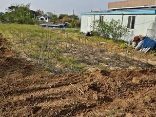 박영섭님의 자유주제 · 자유게시판 작성글 사진