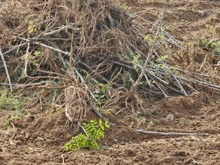박영섭님의 자유주제 · 자유게시판 작성글 사진