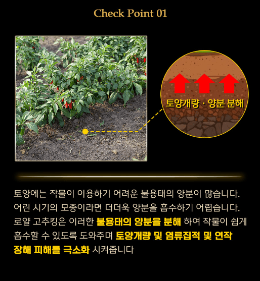 자재스토어님의 장터 판매 상품 [로얄 고추킹 2kg 고추 밑거름 비료 약 원료효과- 탄저병 역병 연작장해 무름병 예방] 첨부 사진