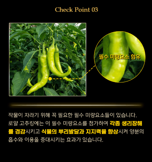 자재스토어님의 장터 판매 상품 [로얄 고추킹 2kg 고추 밑거름 비료 약 원료효과- 탄저병 역병 연작장해 무름병 예방] 첨부 사진