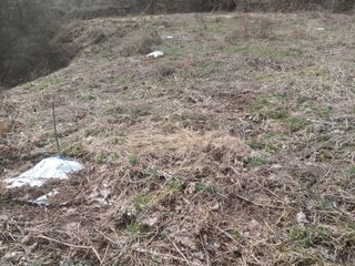 창열님의 자유주제 · 자유게시판 작성글 사진