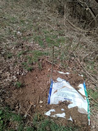 창열님의 자유주제 · 자유게시판 작성글 사진