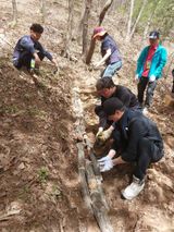 팜모닝 기타작물·영농일지 게시글 이미지