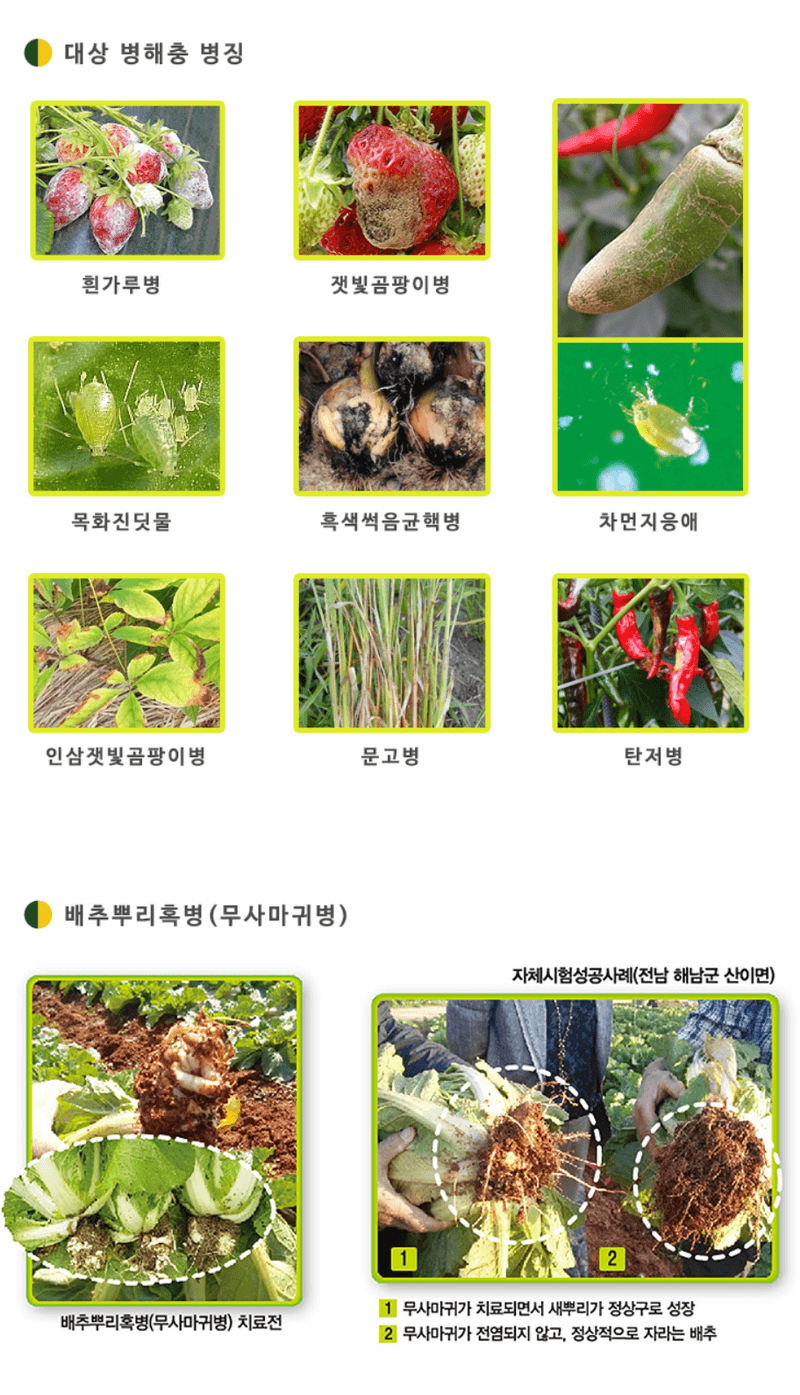 삼익농자재님의 장터 판매 상품 [다싹 1kg 유황 배추뿌리혹병 흰가루병 잿빛곰팡이병 탄저병친환경 병해충관리용 제품] 첨부 사진