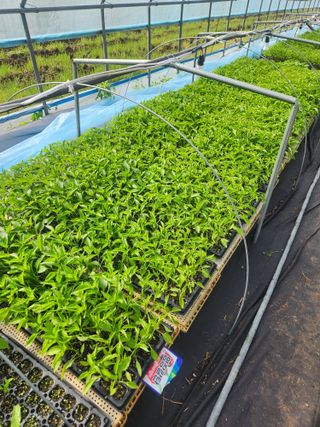 충골님의 농사, 무엇이든 물어보세요! · 참여글 작성글 사진